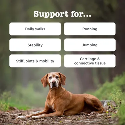 Zesty Paws Hip & Joint Chews Mobility - Turkey Zesty Paws Hip & Joint Chews Mobility - Turkey