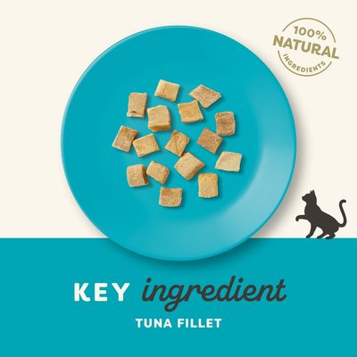 Pääainesosa tonnikalafilee, 100 % luonnolliset ainesosat. Neliönmuotoiset palat sinisellä lautasella, kissan siluetti oikeassa alakulmassa.