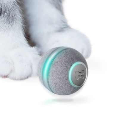 Balle grise en tissu avec bande lumineuse turquoise et motif patte, posée devant les pattes d’un chat blanc et gris, aucun texte visible.