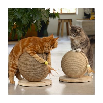 Due gatti giocano con giocattoli tiragraffi sferici in sisal su basi in legno, ciascuno con palla e piuma fissate.