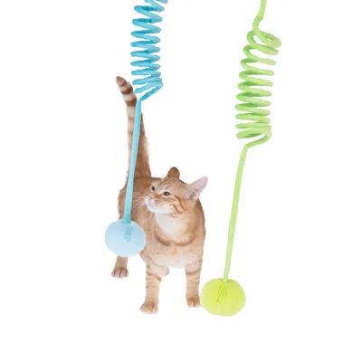 Juguete para gatos: dos cuerdas en espiral azul y verde con bolas mullidas en los extremos, gato interactúa con la bola azul.