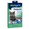 Sacs à litière en polyvinyl Biokat's pour chat 12 sacs