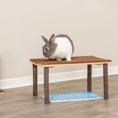 Wooden platform with natural wooden legs, suitable as an elevated seating area for small animals. A rabbit is sitting on the platform.