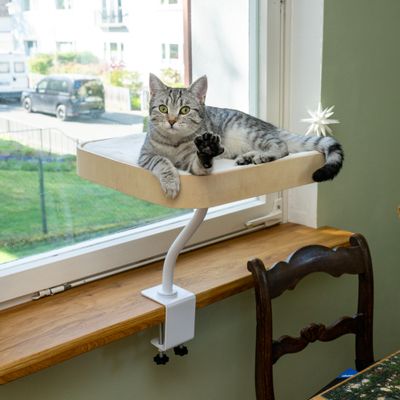 Modern Living Schreibtischbett Mora