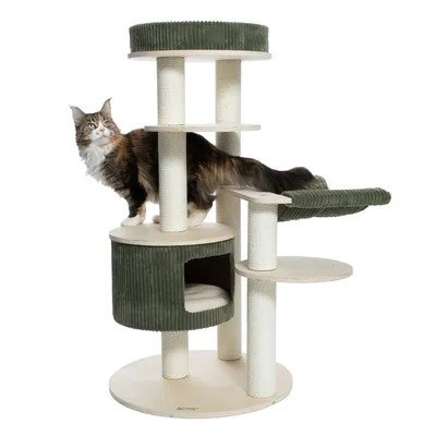 Multi-level scratching post with platforms, a hammock, and a covered den. A cat is shown climbing on the structure to demonstrate its use.
