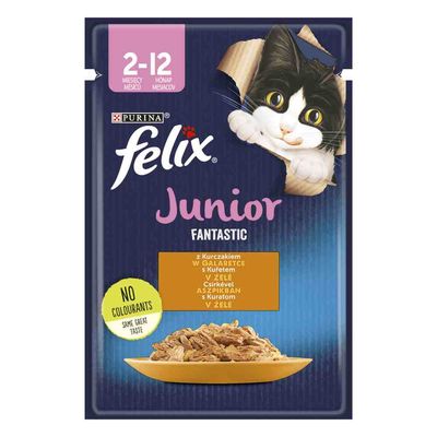Felix Junior Fantastic Pouches 26 kapsiček (26 x 85 g) kuřecí