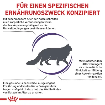 Für einen spezifischen Ernährungszweck konzipiert. Mit zunehmendem Alter der Katze beeinflussen körperliche Veränderungen ihre Anpassungsfähigkeit. Ausgewogene Ernährung fördert Wohlbefinden.