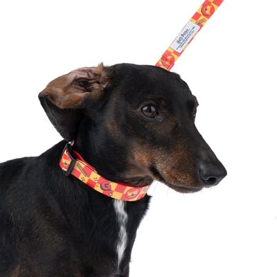 Hund mit rotem Halsband und passender Leine im Harry-Potter-Design, sichtbar sind Logos und Muster aus der Gryffindor-Kollektion.