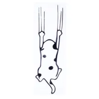 TIAKI Autocolant auto "Pisică ce zgârie" - l 16 x î 5 cm