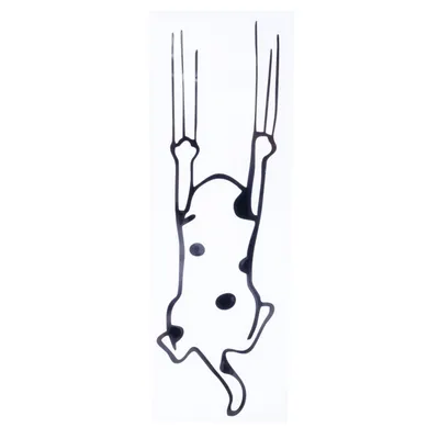TIAKI bildekal "Scratching Cat" - B 16 x H 5 cm TIAKI bildekal "Scratching Cat" - B 16 x H 5 cm