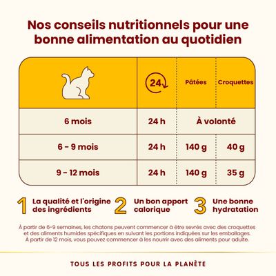 Tableau conseils nutritionnels chaton : 6 mois pâtées 24 h, croquettes à volonté ; 6–9 mois pâtées 24 h 140 g, croquettes 40 g ; 9–12 mois pâtées 24 h 140 g, croquettes 35 g.