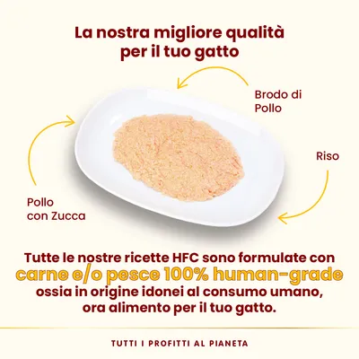 Almo Nature HFC Mousse 24 x 70 g umido per gatti - Pollo e zucca
