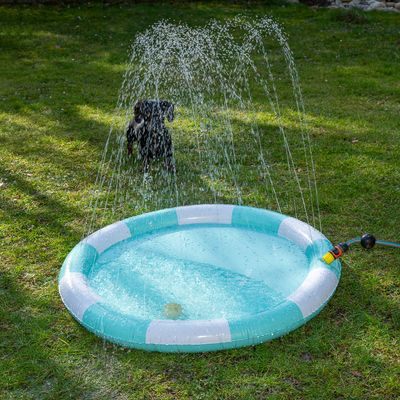 Piscina d'acqua gonfiabile con funzione sprinkler, collegata a un tubo da giardino. Getti d'acqua spruzzano in aria, su prato verde all'aperto.