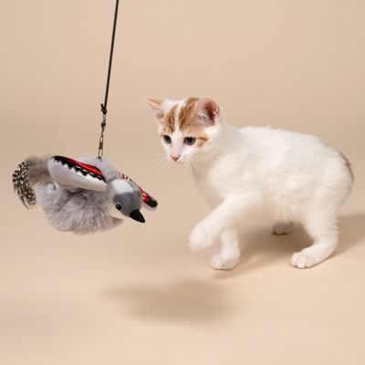 TIAKI Elektronische Katzenangel Mauerläufer mit Federn