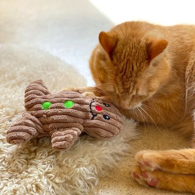 Кафява плюшена играчка във формата на джинджифилов човек със зелени и червени акценти, до оранжева котка върху килим.