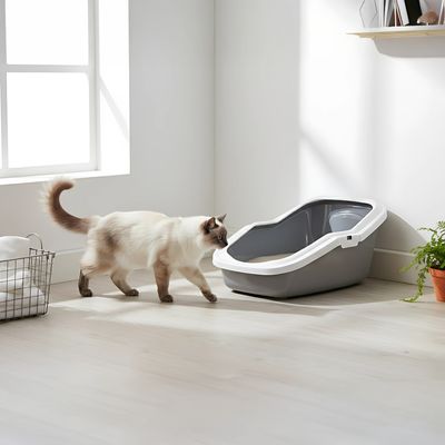 Grey cat litter tray with white rim and lowered entry, suitable for easy use.