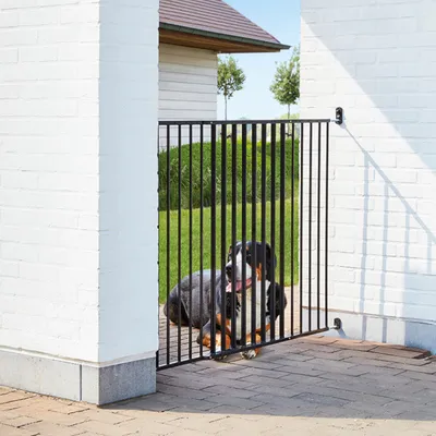 Schwarzes Metallgitter als Türschutz zwischen zwei weissen Wänden, Hund liegt dahinter auf gepflastertem Boden.