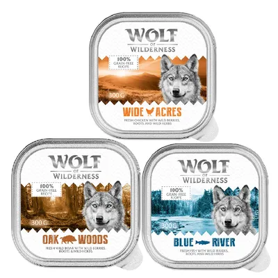 Wolf of Wilderness Adult Classic 6 x 300g - Mixed Pack