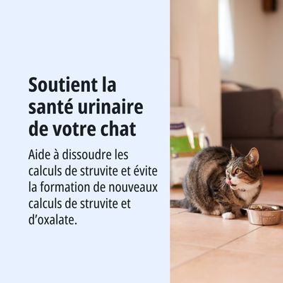 Soutient la santé urinaire de votre chat. Aide à dissoudre les calculs de struvite et à prévenir la formation de nouveaux calculs de struvite et d’oxalate.