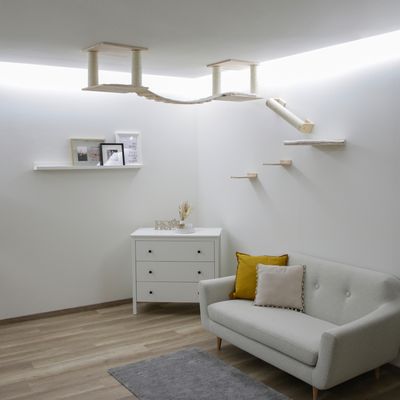 Wandgemonteerd klim- en rustsysteem van hout met sisal voor katten, bestaande uit platforms, brug en ligplekken in een moderne woonkamer.