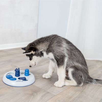 Trixie Denkpeelgoed Cat Activity Flip Board - Ø 23 cm x  H 8 cm - Trixie Denkpeelgoed Cat Activity Flip Board