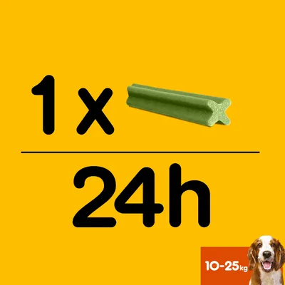 Instrucțiuni de administrare: 1 baton verde pe zi pentru câini de 10–25 kg, ilustrat cu imaginea batonului și a unui câine. Text vizibil: 1x/24h, 10–25 kg.