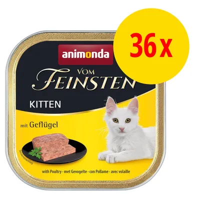 Animonda Vom Feinsten Kitten con pollame, confezione da 36 vaschette. Immagine di un gatto bianco e paté su piatto nero. Testo visibile: mit Geflügel, with Poultry, con Pollame.