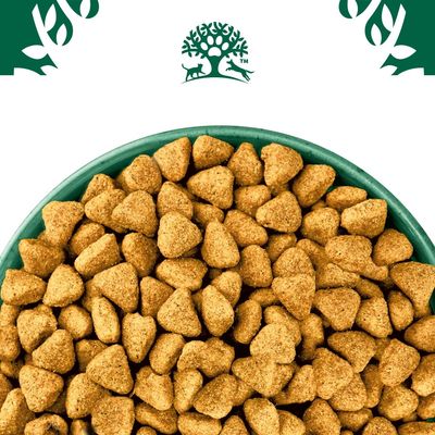 James Wellbeloved Grain Free Adult Dog Hypoallergenic Lamb & Vegetables - 10kg