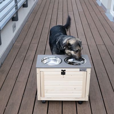 Cane beve da stazione di alimentazione rialzata con due ciotole in acciaio inox e mobile in legno, marca Modern Living visibile.