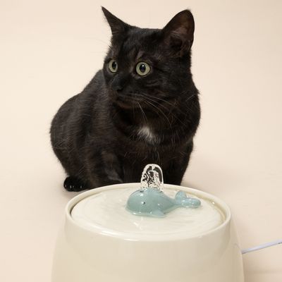 TIAKI керамична поилка фонтан Кит