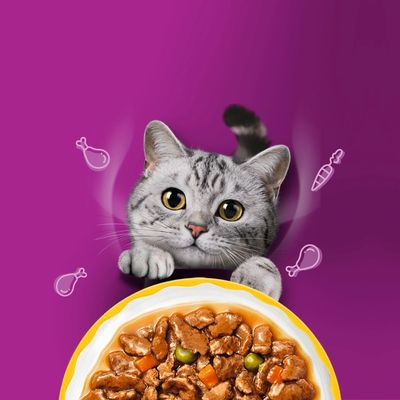 Whiskas 1+ Aromatic Selection 48 x 85 g