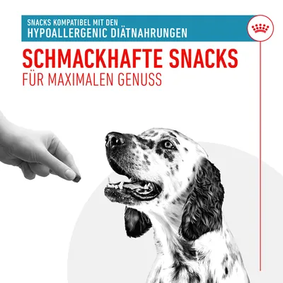 Schmackhafte Snacks kompatibel mit hypoallergenen Diätnahrungen. Für maximalen Genuss. Hund wird mit Snack gefüttert.