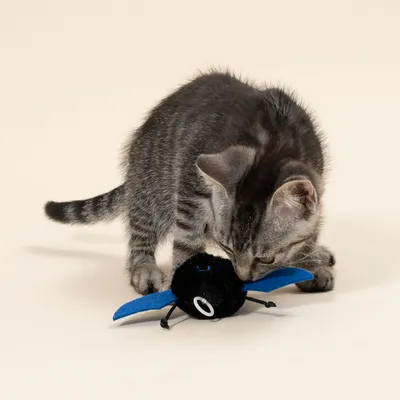 TIAKI gatto giocattolo vibrante pipistrello