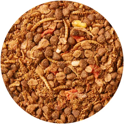 Vitakraft Premium Meny torrfoder för igelkottar - Ekonomipack: 2 x 2,5 kg