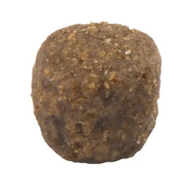 Croquette individuelle de forme cylindrique, couleur marron, surface granuleuse. Aucun texte ni marque visible.
