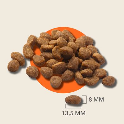 Close-up de croquetes castanhos com indicação de tamanho: 8 mm de altura, 13,5 mm de largura.