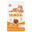 IAMS Advanced Nutrition Senior Cat 11+ con pollo 2 x 3 kg -  Pack ahorro