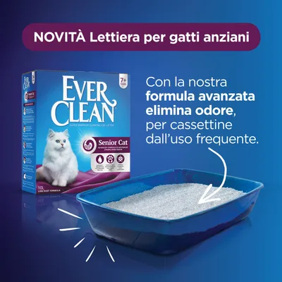 Ever Clean Senior Cat lettiera per gatti anziani, confezione da 10L. Testo: NOVITÀ Lettiera per gatti anziani, formula avanzata elimina odore per cassettine dall’uso frequente.