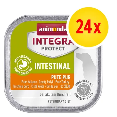 animonda INTEGRA PROTECT INTESTINAL PUTE PUR, czysty indyk, 24x tacka, highly digestible, veterinary diet, urinary pH 6,4–6,5, bei akutem Durchfall
