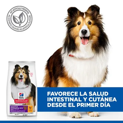 Hill's Science Plan Sensitive Stomach & Skin Adult 1 + Medium con pollo - 14 kg