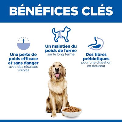 Principaux avantages : perte de poids efficace et sûre avec des résultats visibles, maintien du poids à long terme, fibres prébiotiques pour une digestion douce.