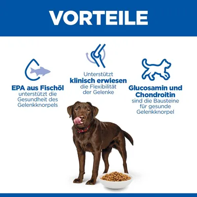 Hill's Science Plan Healthy Mobility Adult 1+ Large mit Huhn - 14 kg