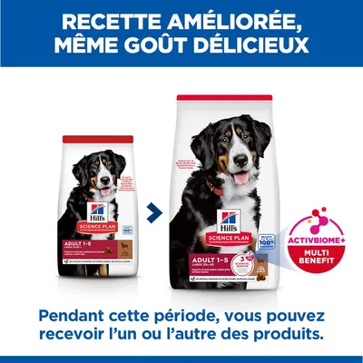 Hill's Science Plan Adult 1-5 Large avec agneau, riz - 14 kg