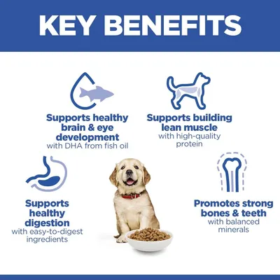 Hill's Science Plan Puppy <1 Large с курицей - 6 кг