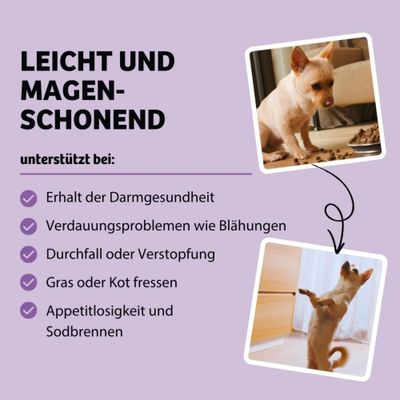 Leicht und magenschonend, unterstützt bei: Erhalt der Darmgesundheit, Verdauungsproblemen wie Blähungen, Durchfall oder Verstopfung, Gras- oder Kotfressen, Appetitlosigkeit und Sodbrennen.