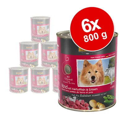 Lot de 6 boîtes Belcando 800 g, bœuf avec pomme de terre et pois, avec graines de chia. Photo d’un chien sur l’étiquette. Texte en allemand et français visible. Lot de 6 boîtes Belcando 800 g, bœuf avec pomme de terre et pois, avec graines de chia. Photo d’un chien sur l’étiquette. Texte en allemand et français visible.