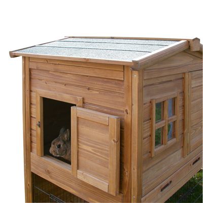 Holz-Kleintierhaus mit Fenster und Tür, Kaninchen schaut aus der geöffneten Tür. Geeignet für den Aussenbereich.