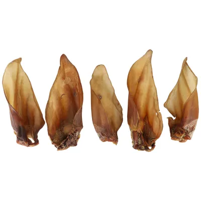 Five dried brown cow ears arranged side by side.