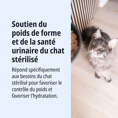 Soutien du poids idéal et de la santé urinaire chez les chats stérilisés. Formulé spécialement pour répondre aux besoins des chats stérilisés en matière de contrôle du poids et d’hydratation.