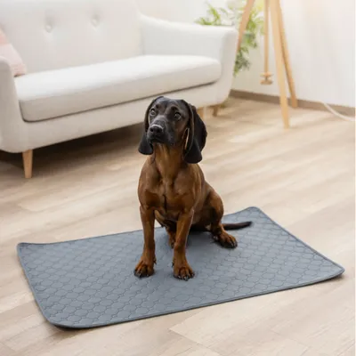 Kerbl Pet wielorazowa podkładka higieniczna chroniąca przed moczem, szara - ok. dł. 60 x szer. 45 cm